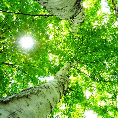 アクト企画のSDGs・環境に配慮した看板素材